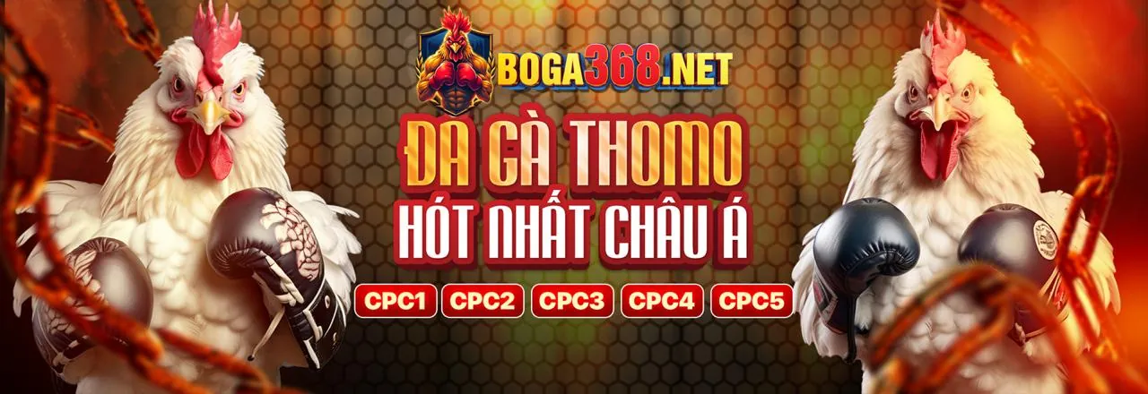 Đá gà trực tuyến FB88 với kèo nhà cái hấp dẫn