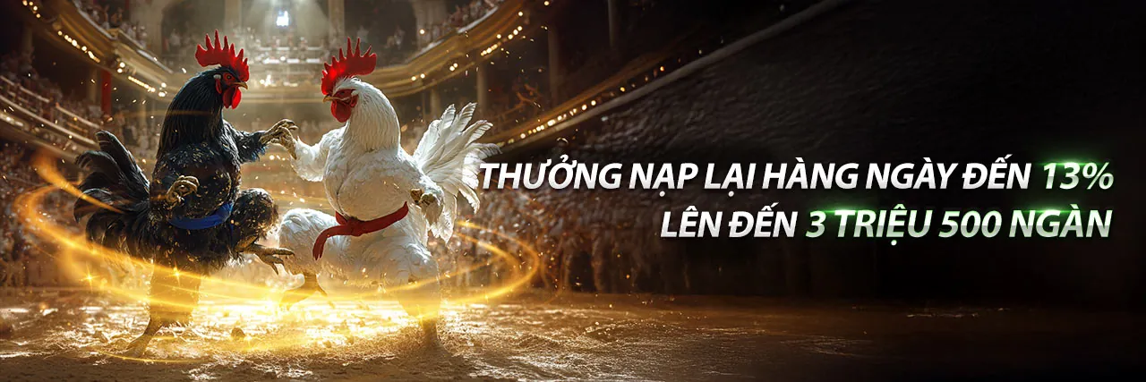 Hình ảnh tổng quan điều khoản dịch vụ của kèo nhà cái fb88